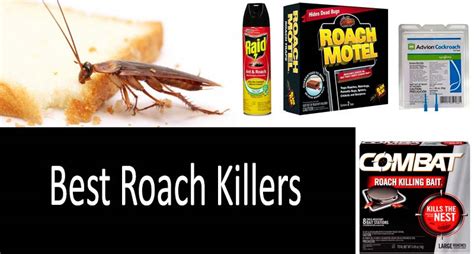 Cockroaches are nocturnal insects which are found in almost every corner or drill. 12 Best Roach Killers: Die, Horrible Creatures!