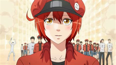 Red Blood Cell Ae3803 Wiki Anime Amino