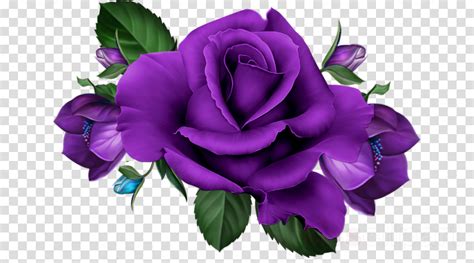 Purple Roses Clip Art Watercolor Flowers Clipart Floral Etsy
