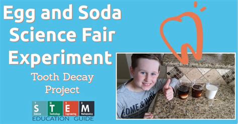 Egg And Soda Science Fair Experiment Tooth Decay Project Stem