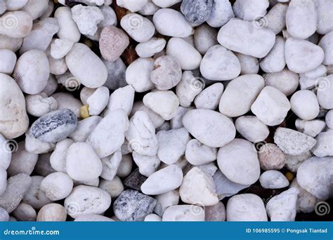 White Natural Pebble Stone Texture On The Ground Stock Image Image