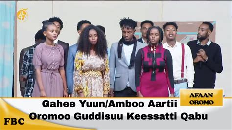 Gahee Yuunamboo Aartii Oromoo Guddisuu Keessatti Qabu Youtube