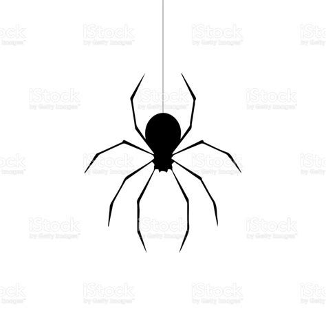 Spider vector isolated | Vector, Vector illustration, Free vector art