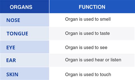 Introduction · Sense Organs
