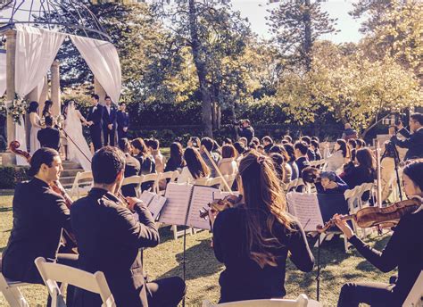 Wedding String Quartet Sydney String Trio And Duo Evoke Entertainment