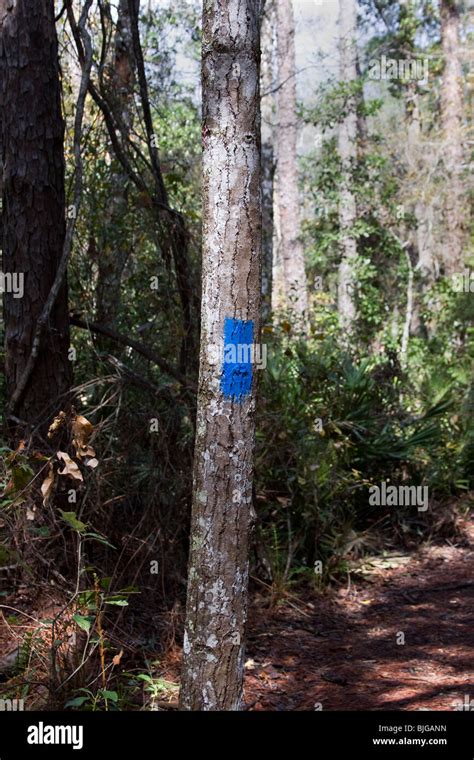 Florida Hiking Trails Are Marked In Various Ways With Numbers Blazes