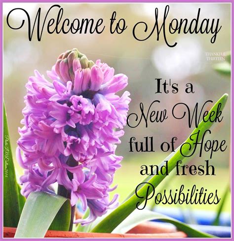 Happystems On Twitter Happy Monday Quotes Nice Good Morning Images
