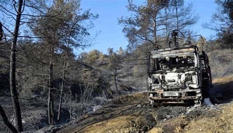 Firefighters Killed Tackling Huge Cyprus Forest Blaze Gulf Times