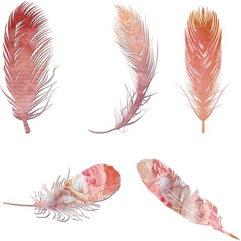Feathers Clipart Boho Feathers Boho Transparent Free For Download On