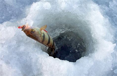 9 Best Ice Fishing Lakes In Ohio Planetware