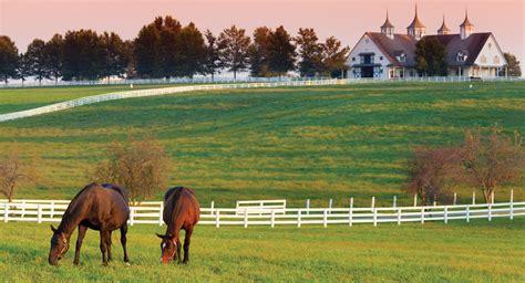 Kentucky Horse Farms Wallpaper