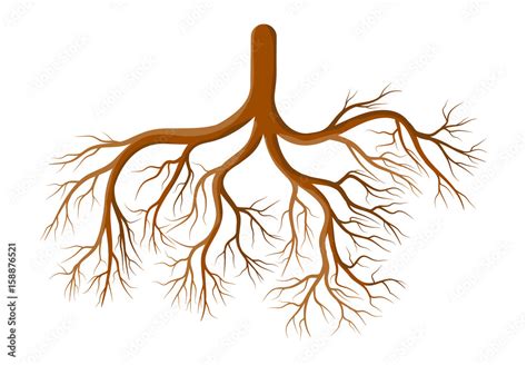 Root Plant Cartoon Vector Symbol Icon Design Beautiful Illustration