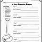 Digestion Vocabulary Worksheet Answers