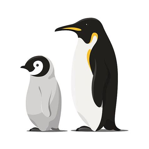 Vector Cartoon Style Illustration Of Penguins Vector Art Illustration