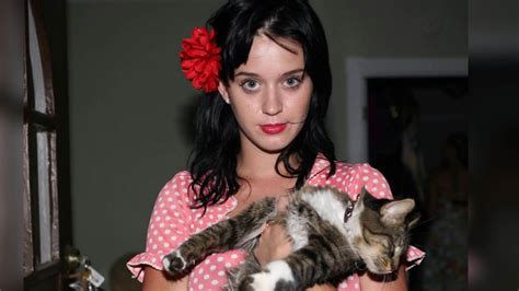 Katy Perry Mourns Loss Of Beloved Cat ‘kitty Purry Access
