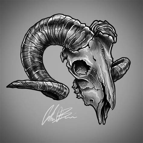 Ram Skull Cráneo De Carnero Dibujos De Toros