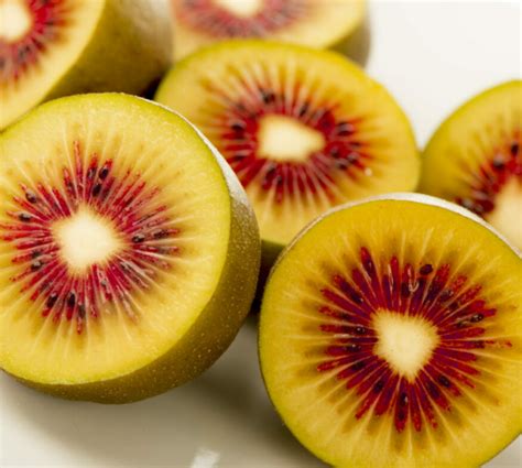Kiwifruit Oppy