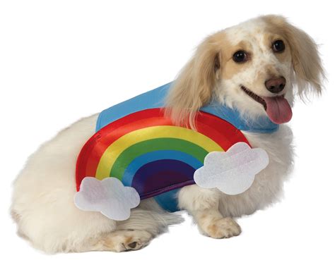 Rainbow Dog Costume Ubicaciondepersonascdmxgobmx