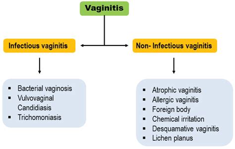 Vaginitis Etiology And Role Of Oxidative Stress Inflammation And Antioxidants Therapy