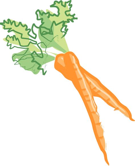 Baby Carrots Clipart Best