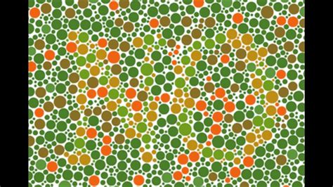 We did not find results for: Only colorblind people see whats in this photo =D It ...