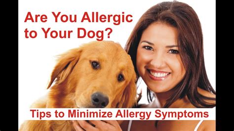Are You Allergic To Your Dog Tips To Minimize Allergy Symptoms Youtube