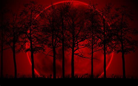 Moon trees are trees grown from 500 seeds taken into orbit around the moon by stuart roosa, the command module pilot on the apollo 14 mission in 1971. Wallpaper : trees, digital art, sunset, night, red ...