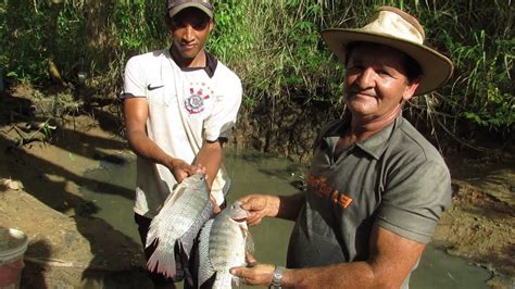 Pescaria Na Minha CriaÇÃo De Peixes Youtube