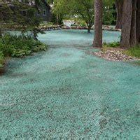 The process involves spraying a mixture of seeds. Hydroseeding in the Twin Cities, MN | Rainbow Lawncare ...