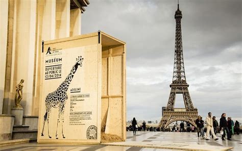 Wild Animals Are Loose In Paris Wooden Crate Campaign The Big Ad