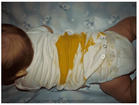 Poop Explosion How To Deal With And Prevent A Diaper Blowout Tulamama