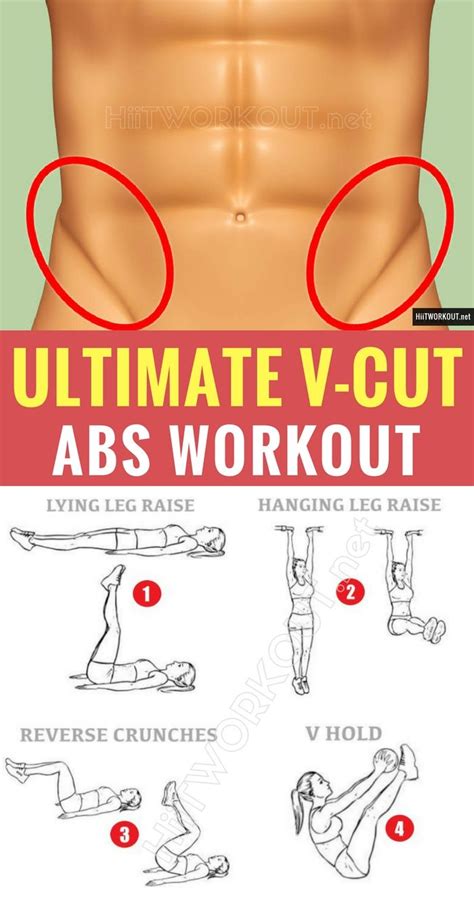 A Workout You Can Follow To Get Your V Cut Abs Absworkout Abs