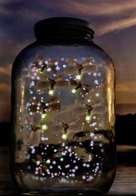 Magic Lighting Bugs Fireflies In A Jar Chasing Fireflies Catching