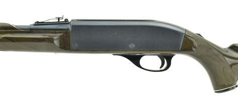 Remington Nylon 66 22 Lr R25760