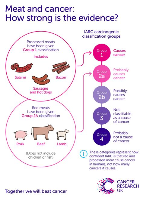 How Does Processed Meat Cause Cancer And How Much Matters