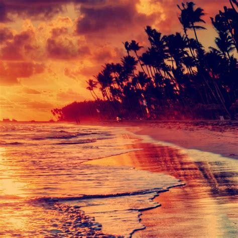 Looking for the best wallpapers? Free download Nature Fire Sunset Beach HD Wallpaper 7597 1080x1080 for your Desktop, Mobile ...