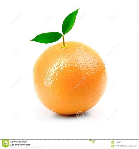 Fresh Orange Isolated On White Background Stock Photo Image Of Core