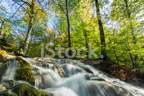 Beautiful Waterfalls In The Forest Stock Photo Royalty Free Freeimages
