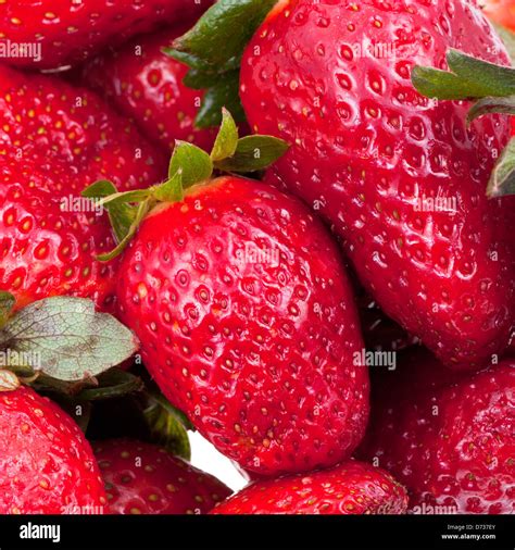 Many Fresh Red Strawberries Close Up Stock Photo Alamy