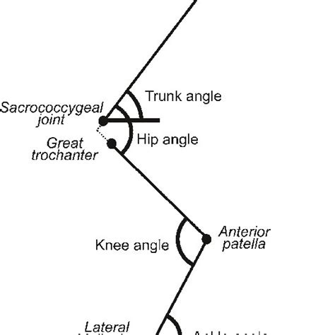 1 Sagittal Trunk And Joint Angles As Calculated From Anatomical