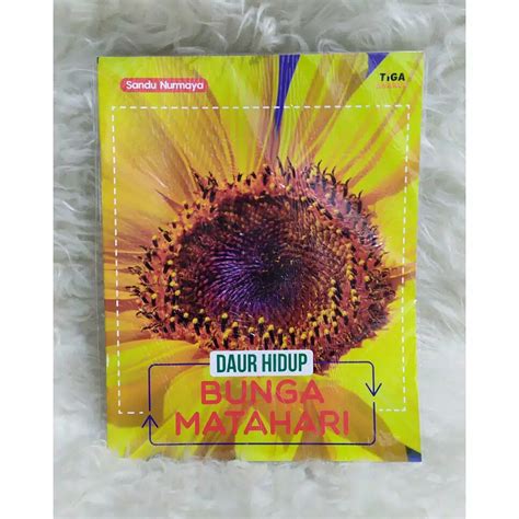 Maybe you would like to learn more about one of these? Paling Bagus 14+ Gambar Bunga Matahari Di Buku Gambar ...