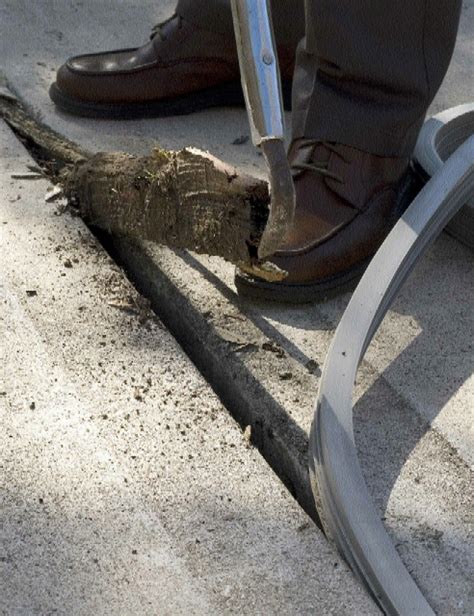 How would you reinvent your backyard? SlabGasket™ Expansion Joint Repair. SIZE: 1/2" Almond