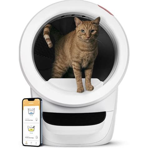 12 Fancy Litter Boxes For Modern Cats Whiskers Magoo