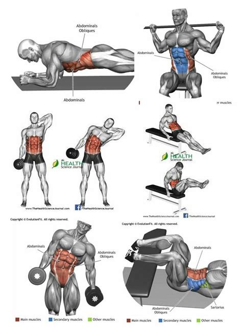 Pinterest Abdominal Exercises Best Cardio Workout Ab Workout With Weights