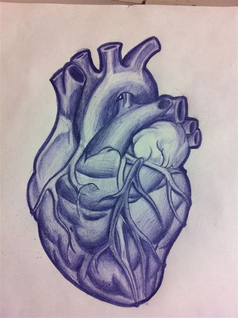 Anatomical Heart On My Chest Above My Left Breast
