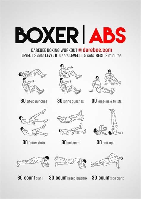 Boxer Workout Boxing Training Workout Fitness Studio Training 300
