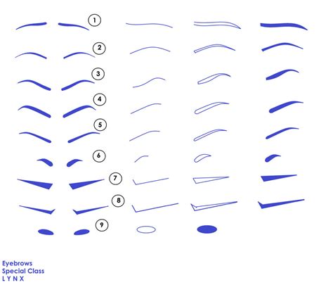 How To Draw Anime Eyebrows By Rin Beeo On Deviantart