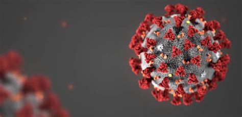 Keep up to date with the latest research and information about. Novel Coronavirus (COVID-19) Updates from USC