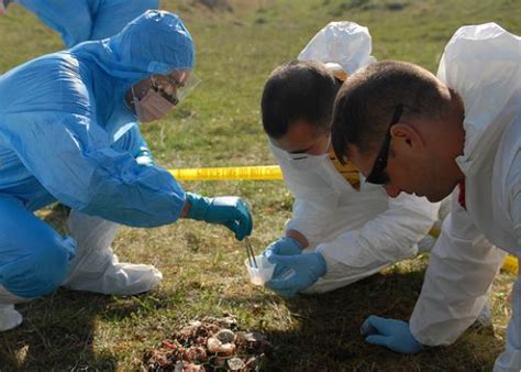 Collecting Data At The Crime Scene Forensic Pathology