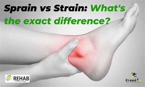 Sprain Vs Strain Causes Symptoms Treatment Prevention Rehab Station